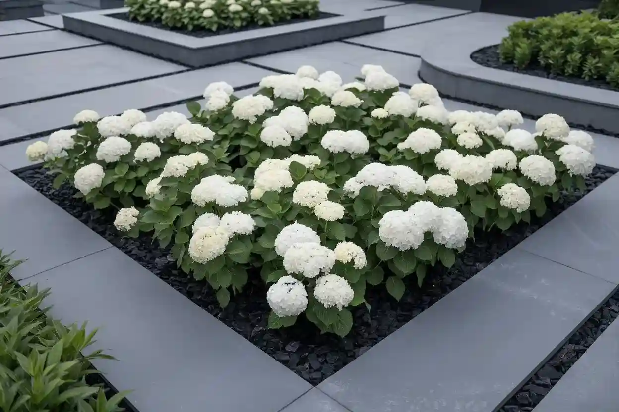 Modern flower bed with white flowers, grasses, and geometric stones.