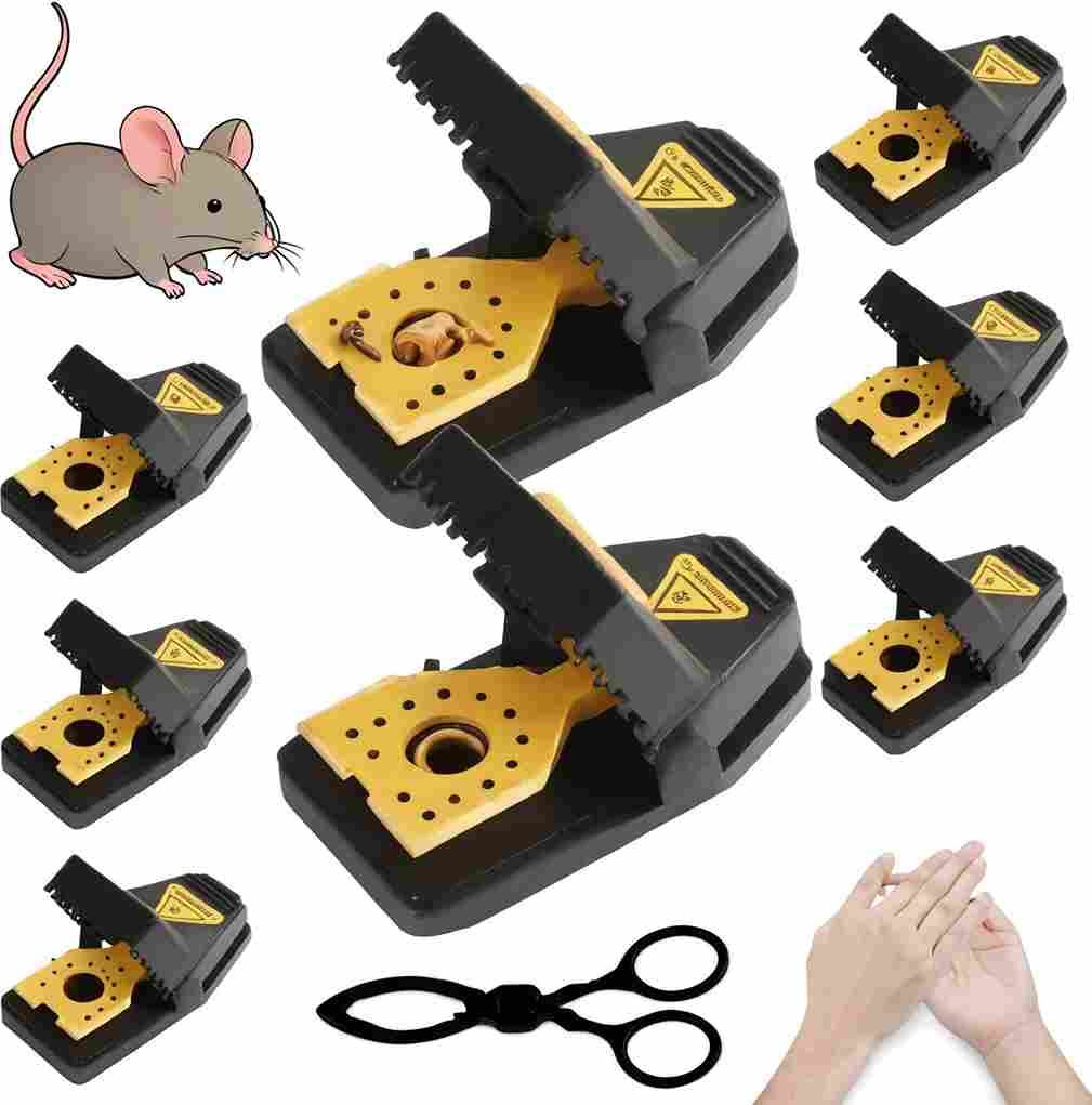 Mouse-Traps Mouse Traps