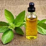 Bergamot Repel Mice
