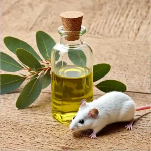 Does Eucalyptus Oil Repel Mice