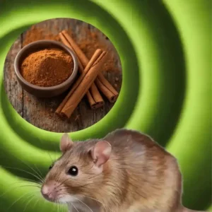 Does cinnamon repel mice